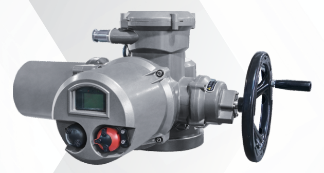 Principle of Multi-Turn Electric Actuator
